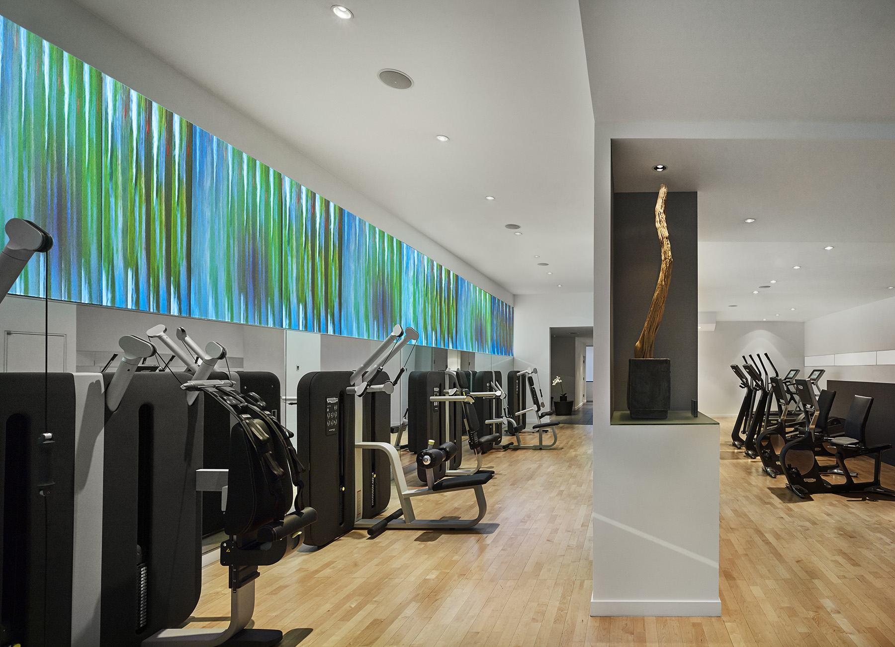 AKA Central Park fitness center/gym with artwork and state-of-the-art cardio equipment
